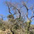 轻描淡写在掘金的个人资料头像