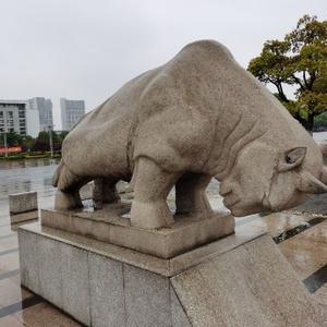 风雨追太阳头像