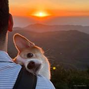 Jarvis_拒绝的个人资料头像