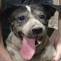 我之前是有头发的头像