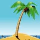 ABCD本尊的个人资料头像