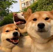 AEdge的个人资料头像