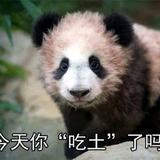 分秒必争雪梨az头像