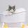 王老吉是猫咪头像