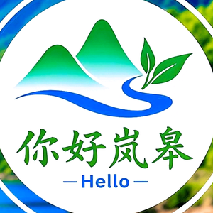 你好岚皋头像