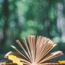 久夏青的个人资料头像