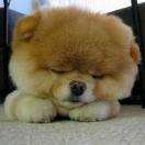 huanghun4673的个人资料头像