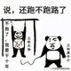 单纯小鱼Q1u头像
