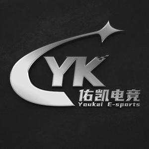 YK佑凯电竞（双端护航）