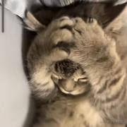 张牧之123的个人资料头像