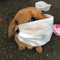 五轴加工何二头像