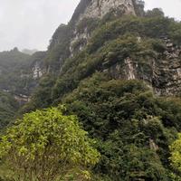 用户6989911708040头像