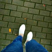 Dream91的个人资料头像