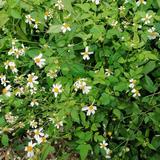 开心快乐每一天头像