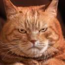 Toby的个人资料头像