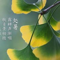 g1p2z33头像