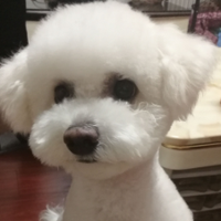 雪糕的快乐老家头像