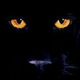 潘萨Panthers头像