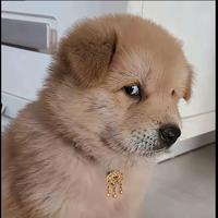 王里搞啊头像
