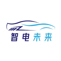 智电未来西瓜头像