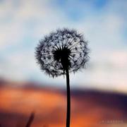 jic999的个人资料头像