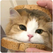 lucky_cxmei的个人资料头像