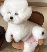 用户5253575987472的个人资料头像