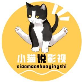 坦荡小猫说影视头像