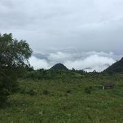 Louis_Lu的个人资料头像