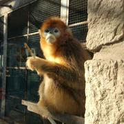 大猛569的个人资料头像