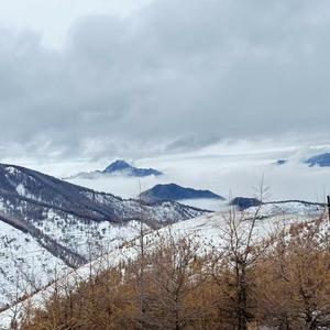 五台山天宝头像