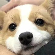 undefined的个人资料头像