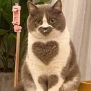 愿得一人心君110551的个人资料头像