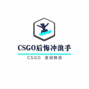 CSGO后悔冲浪手头像