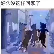 阿司匹林210的个人资料头像