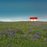 幽默橙子4Uk头像