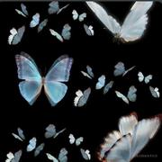 用户267731719525的个人资料头像