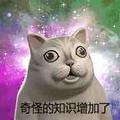 今天看点什么沙雕呢头像
