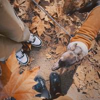 柔柔大魔王L头像