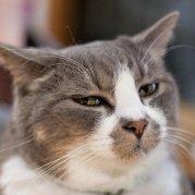 薄大爷_的个人资料头像