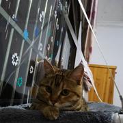 threebro的个人资料头像