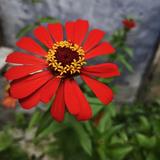 灯塔与星星头像