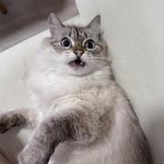 KamSuk的个人资料头像