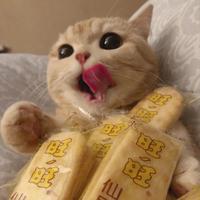 真就是hold啊头像