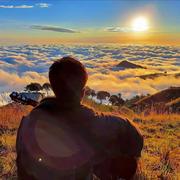 微醺史迪仔的个人资料头像