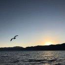 x同志88197的个人资料头像