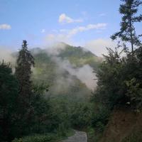 一路上行297头像