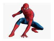 大数据蜘蛛侠的个人资料头像