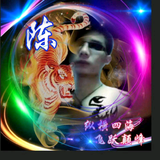情人玫瑰头像