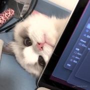 小小晓的个人资料头像